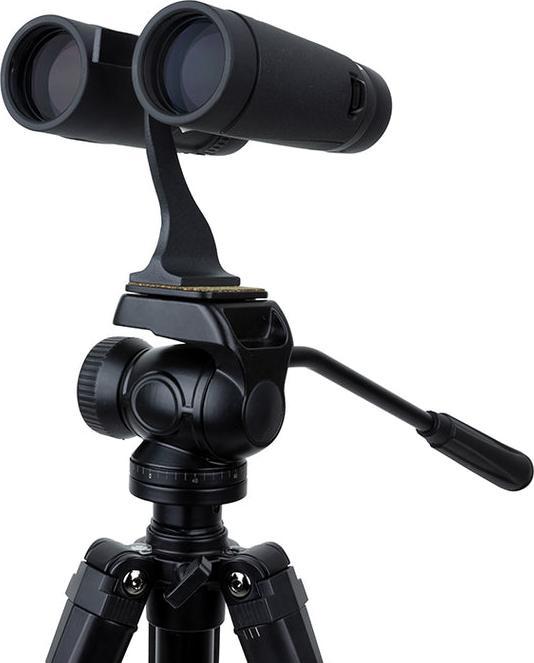 Actual product image Celestron TrailSeeker ED 10X42, grey (10 x, 42 mm)