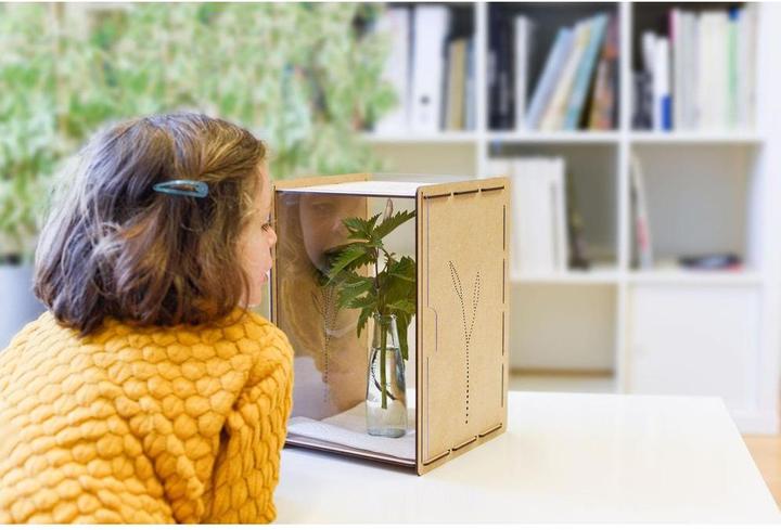 Immagine prodotto Mein Raupenkasten Insetto hotel caterpillar box (Farfalle)