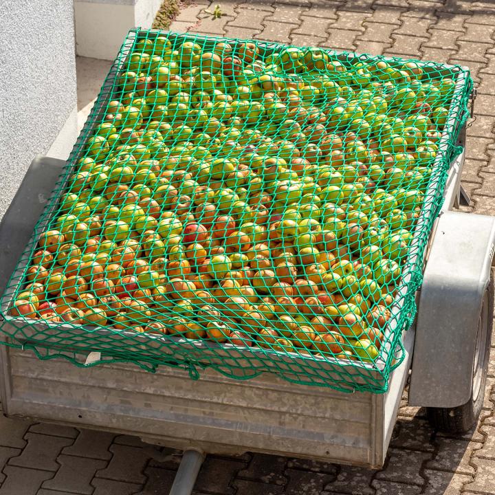 Immagine prodotto Wiltec Rete di fissaggio del carico 4x2,5m Verde Gabbia per bordi del rimorchio Resistente alle intemperie