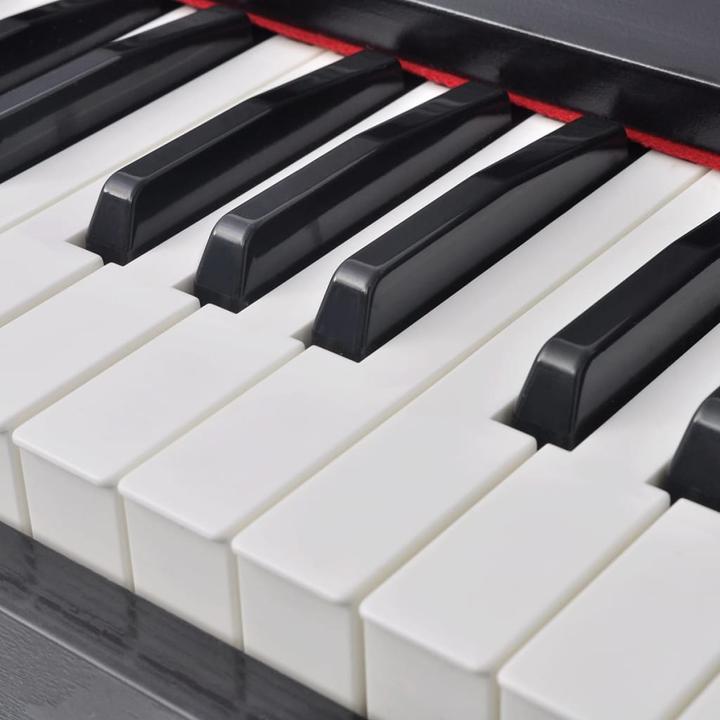 Actual product image VidaXL Falco (88 Keys)