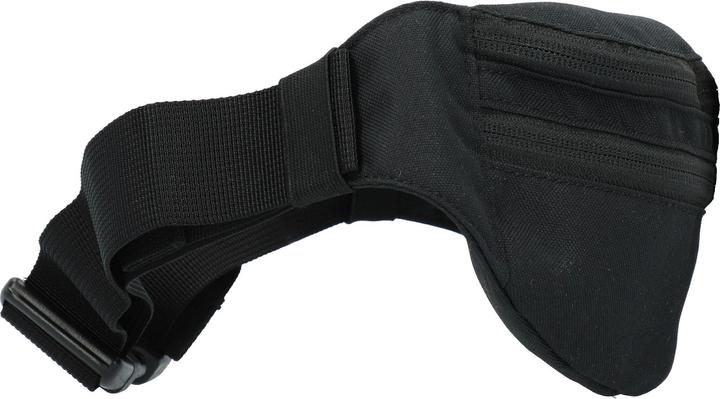 Actual product image Dakine Classic Hip Pack
