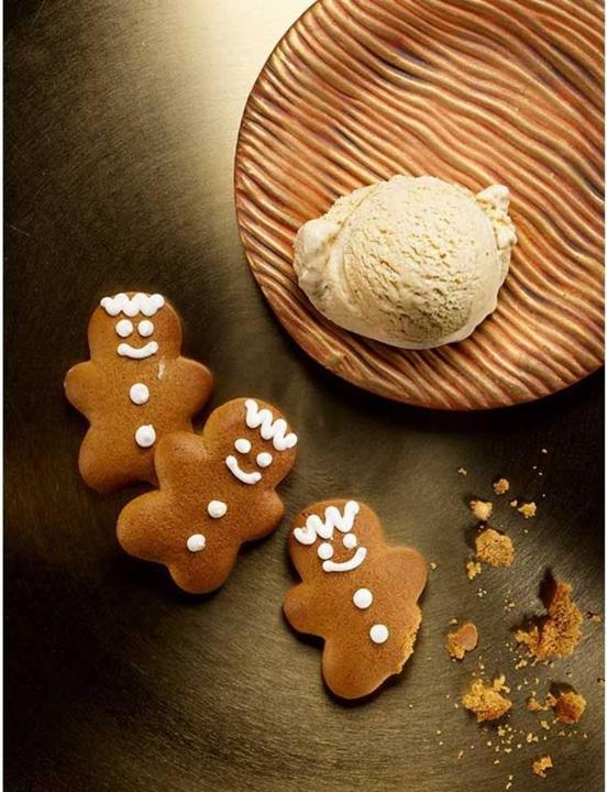 Image du produit Unold Eisbuch mit 101 Eisrezepten (Allemand, Unold)