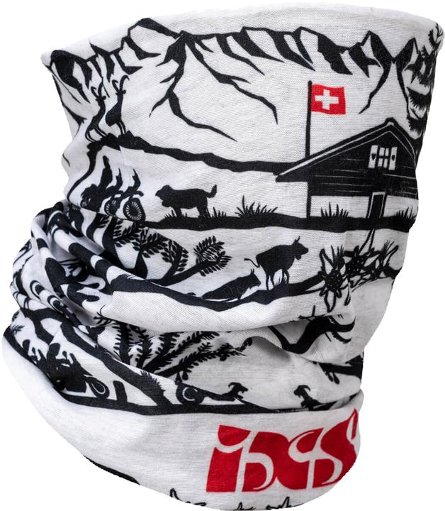 iXS Micro