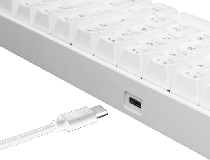 Actual product image White Shark Shinobi (DE, Cable)