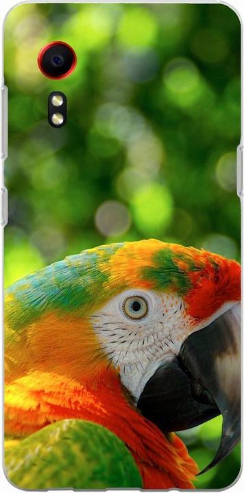 Parrot