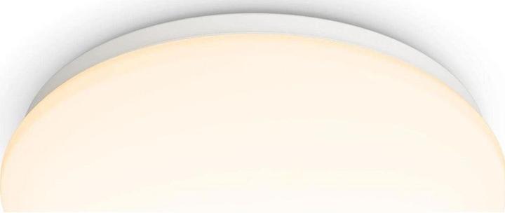 Actual product image Philips Moire CL202 (600 lm)
