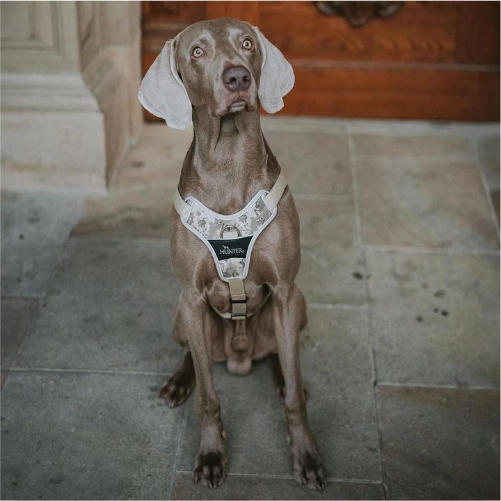 Immagine prodotto Hunter Pettorina mimetica Divo per cani Beige L-XL (Cane, Generale)