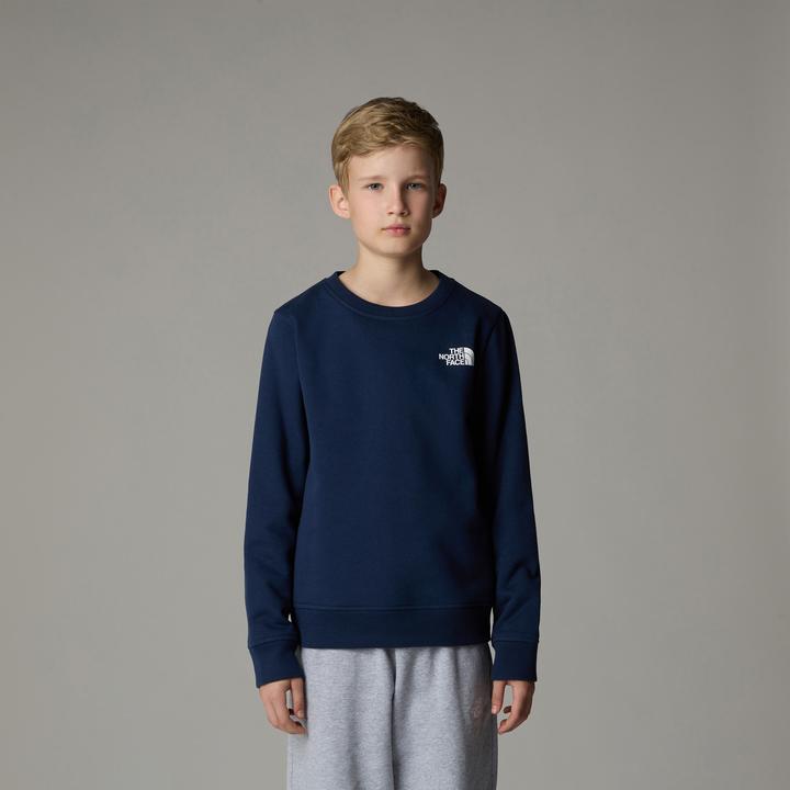 Actual product image North Face Teen Redbox Regular Crew (L)