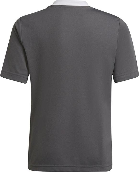 Produktbild adidas Entrada 22 Trikot (140)