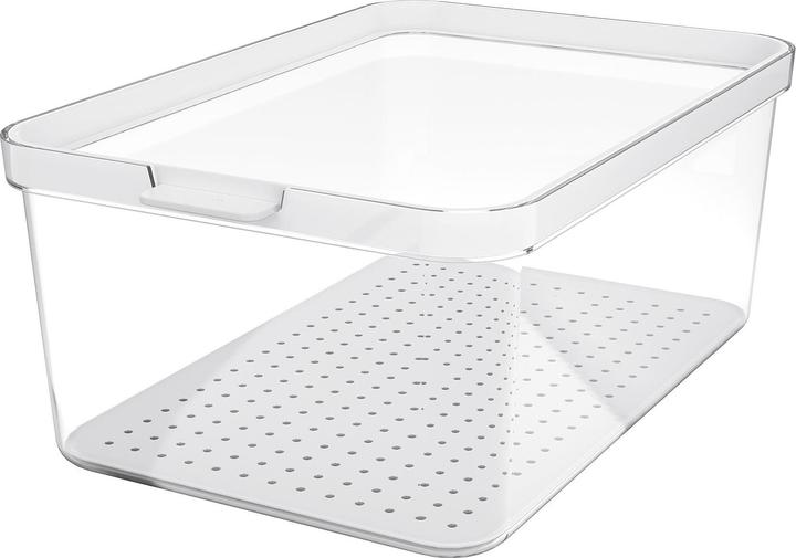 Immagine prodotto Rotho Organizzatore per frigorifero Cauma 4,65l