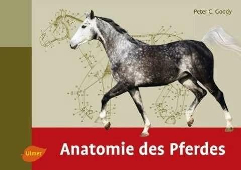 Anatomie des Pferdes (Tedesco, Peter C. Goody, 2015)