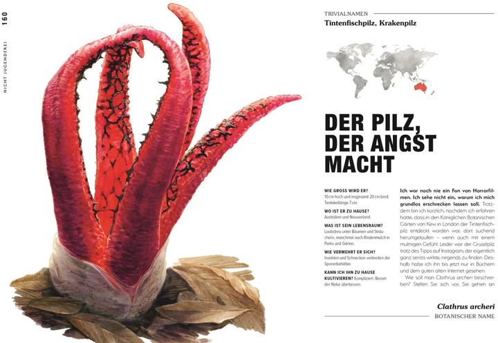 Actual product image Kuriose Pflanzen (German, Michael Perry, Reinhard Ferstl, DK Publishing House, 2023)