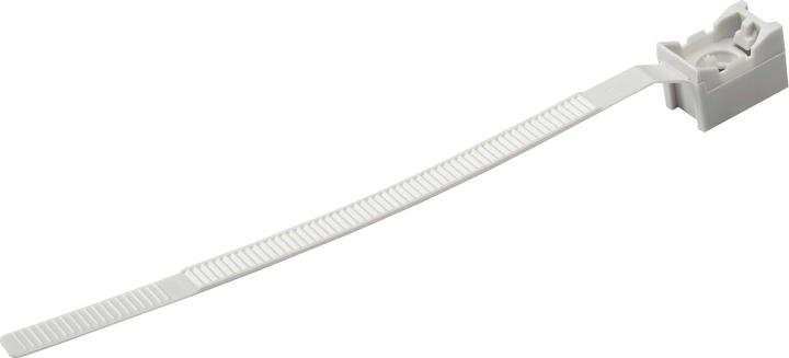 Image du produit Schneider Electric Collier PA Kst vis gr ENN47930 (100 pcs)