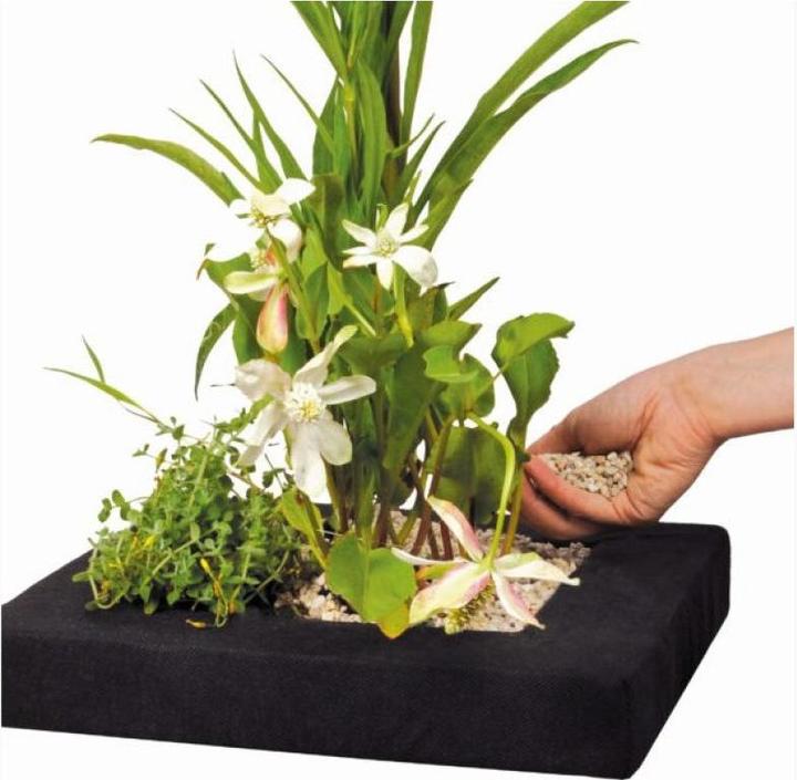 Image du produit Velda L'île flottante des plantes