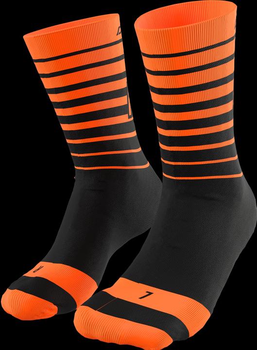 Produktbild Dynafit Live To Ride Socks (39, 40, 41, 42)