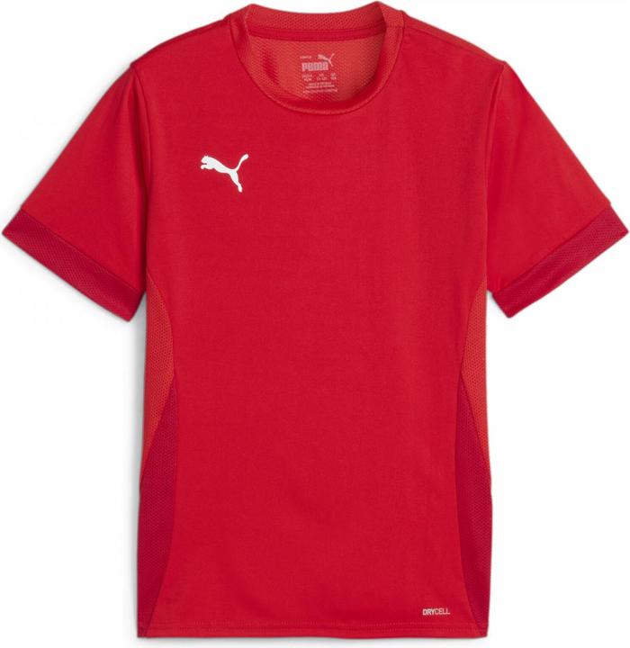 Actual product image Puma teamGOAL Matchday Jersey jr (128)