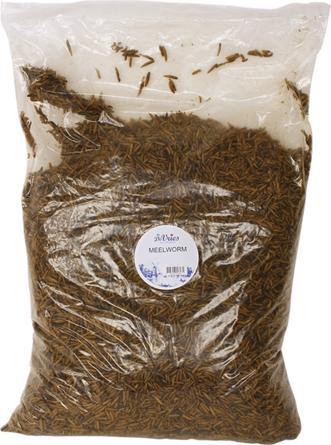 Immagine prodotto dekoVries Verme di mare Vite nera del soldato (1 x, 5 kg)