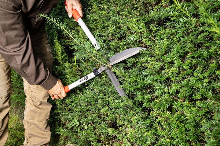 Image du produit Felco 250-63 (Taille-haie)