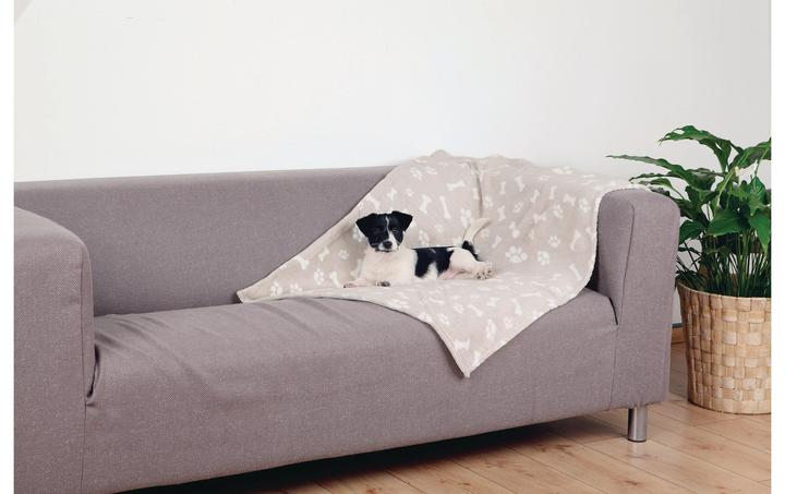 Immagine prodotto Trixie Kenny (Cane)