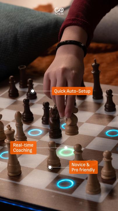 Actual product image Particula GoChess Mini
