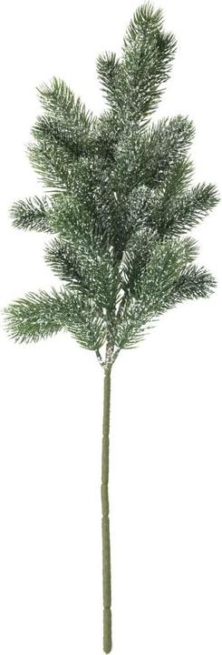 Actual product image Europalms Fir branch, snow-covered, PE, 65cm