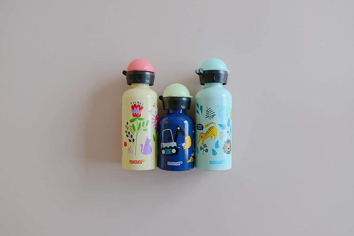 Actual product image Sigg Kbt (0.30 l)