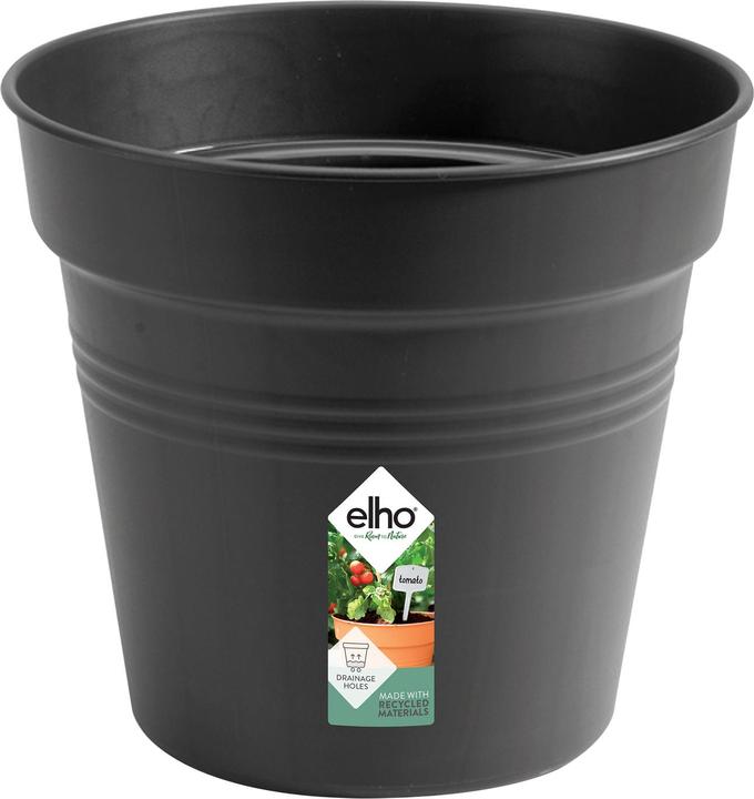Image du produit Elho Green Basics (19 cm)