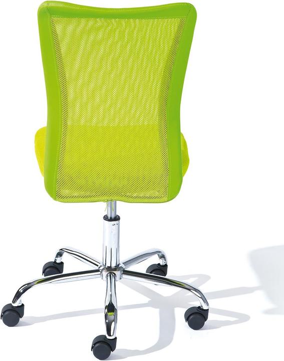 Actual product image Inter Link Bonnie