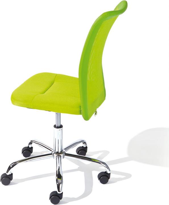 Actual product image Inter Link Bonnie