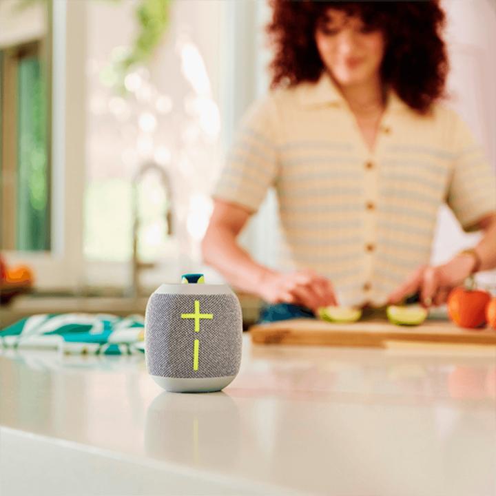 Produktbild UE Wonderboom 4 (14 h, Akkubetrieb)