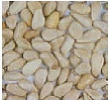 Image du produit Schweizer Pignons de pin (2 x, 0.20 kg)