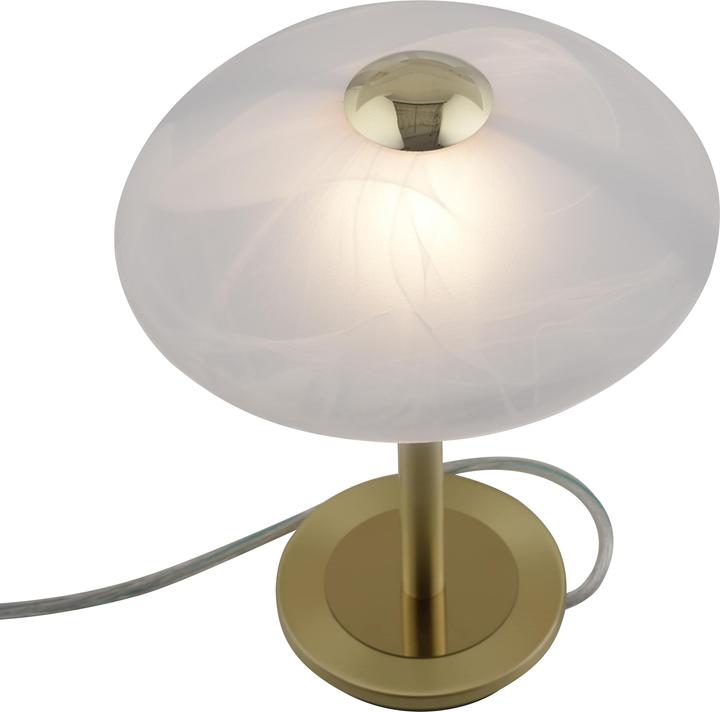 Actual product image Paul Neuhaus Enova (265 lm, G9)