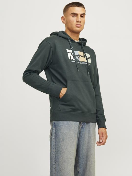 Actual product image Jack & Jones Jorportland Block Sweat Hood Ln (S)