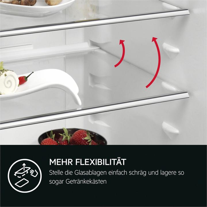 Actual product image AEG TSF5O881DF Built-in refrigerator / 880 mm / 4-star freezer compartment / 118 L / fixed door / D (118 l)