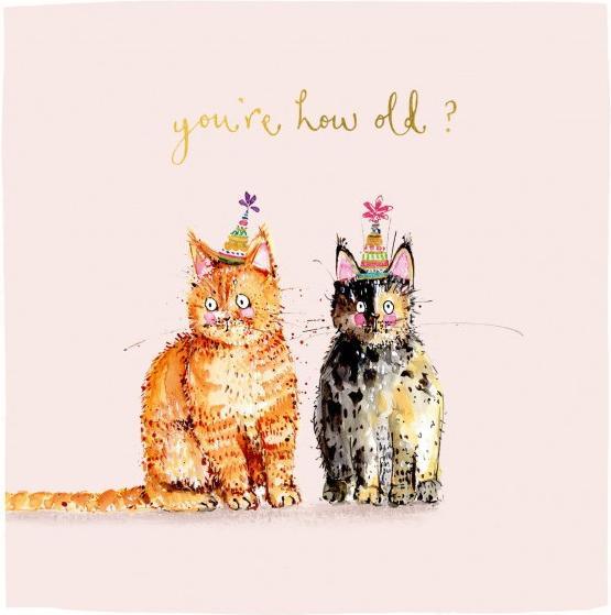 Actual product image Louise Mulgrew Birthday card cats 15x15cm