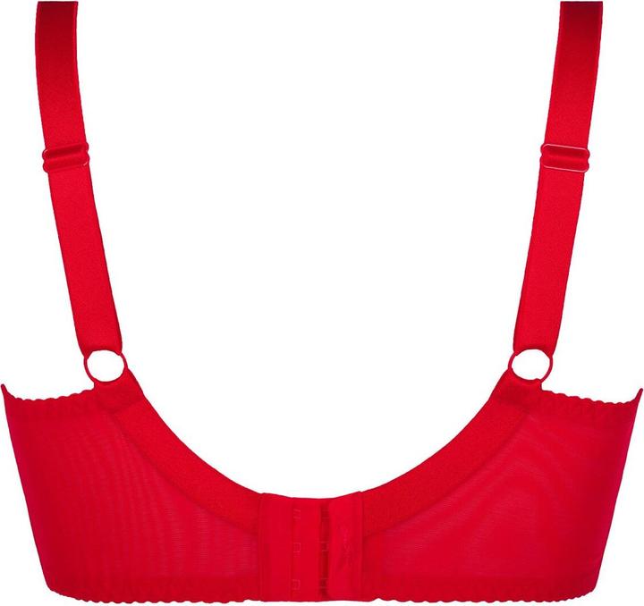 Actual product image Axami V-8741PS Plus Size bra (95 C)