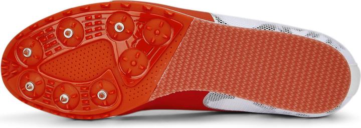 Produktbild Puma evoSPEED Star 8 (40.5)