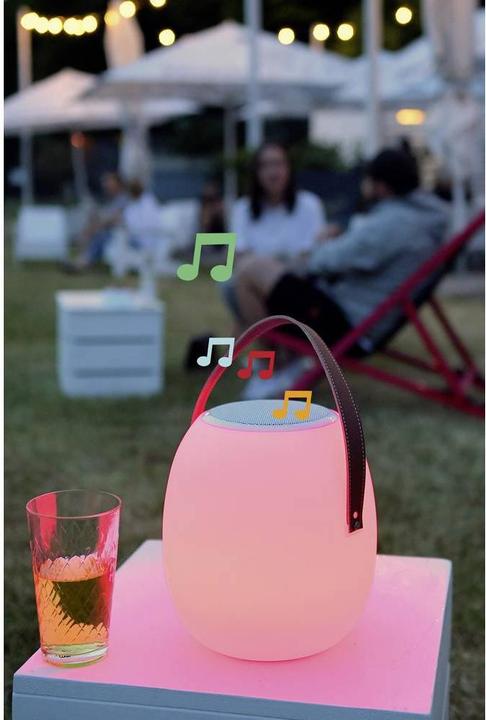 Actual product image Megatron LED Outdoor Table Lamp with Speaker Outdoor Table Lamp (50 lm)
