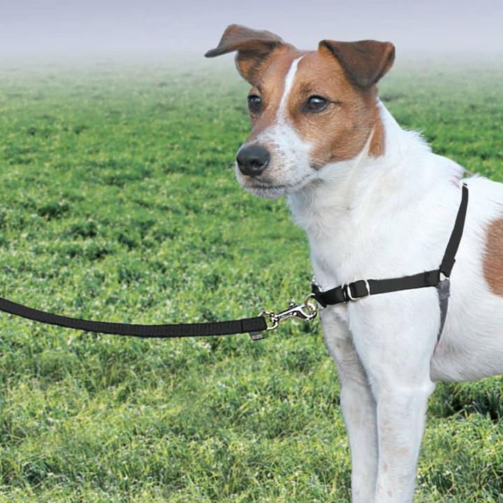 Immagine prodotto PetSafe Passeggiata facile (S, Cane, Passeggiare)