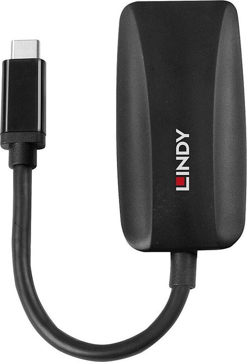 Actual product image Lindy USB Type C to DisplayPort 1.4 Converter Connects an 8K display with DP connector to the USB Type... (USB-C, 13 cm)
