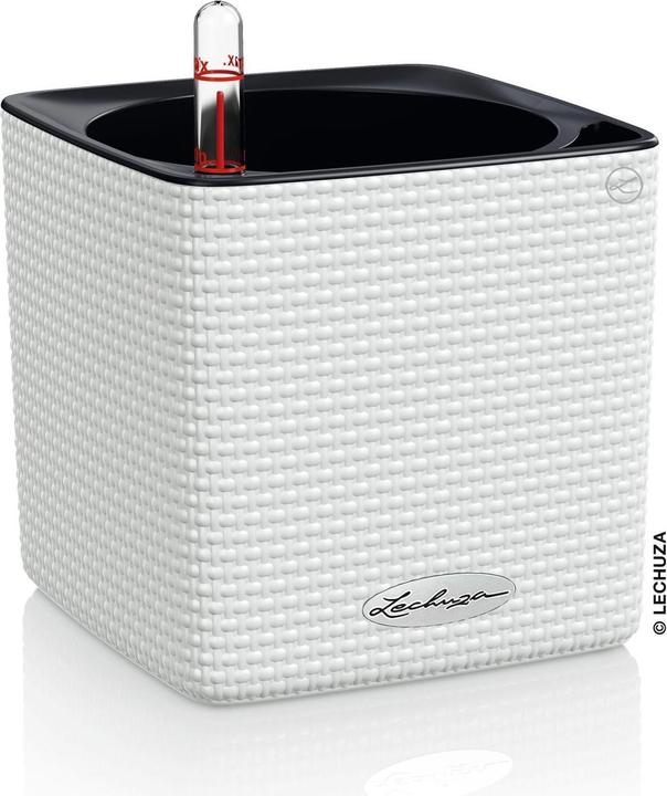 Actual product image Lechuza cube (14 cm)