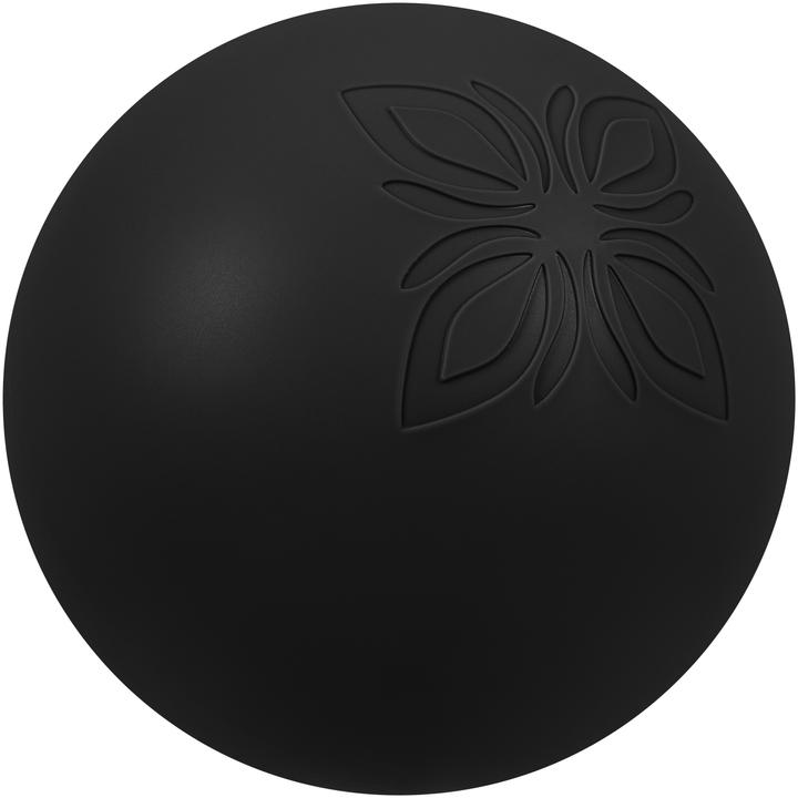 Omnana MOON Pilatesball