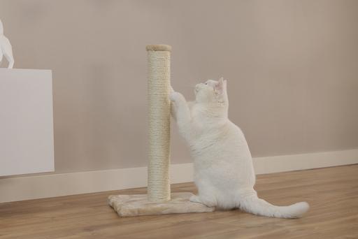 Immagine prodotto Beeztees Mobilier pour chats (60 cm, Beige)