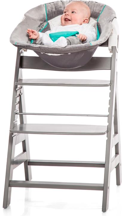 Actual product image Hauck Alpha bouncer 2 in 1