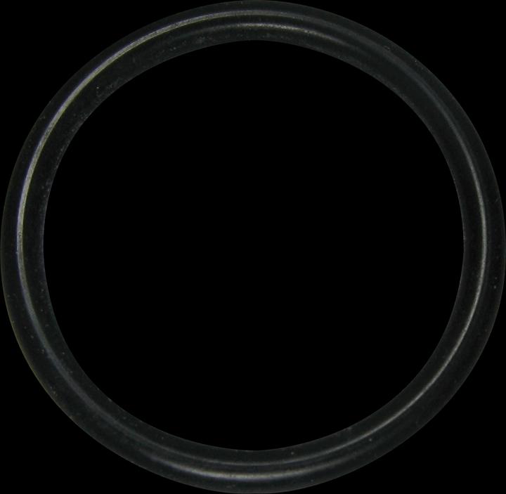 Actual product image Itap O-Ring NBR 25 mm Typ 056