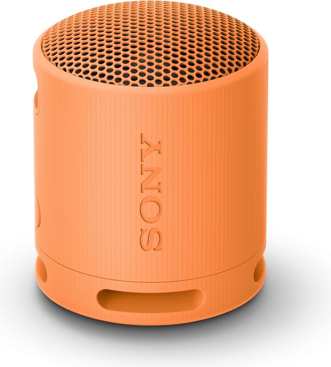 Sony SRS-XB100 (16 h, Akkubetrieb)