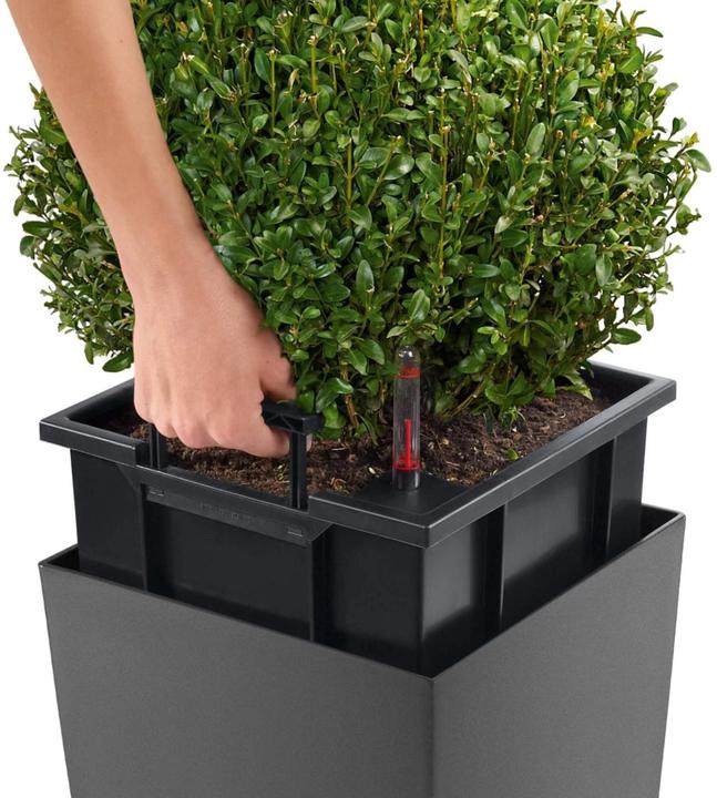 Produktbild Lechuza Pflanzentopf Cubico Premium 22 Braun, Volumen: 6 l (22 cm)
