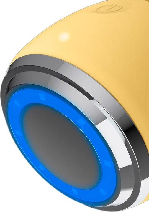 Actual product image InFace ION Facial Device