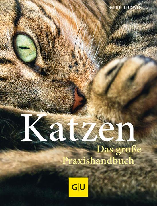 Actual product image Katzen (German, Gerd Ludwig, 2013)