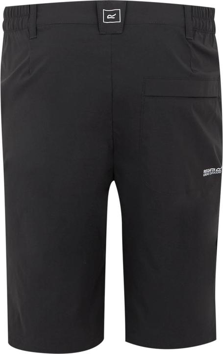 Produktbild Regatta Highton II Freizeitshorts Wandern (38)